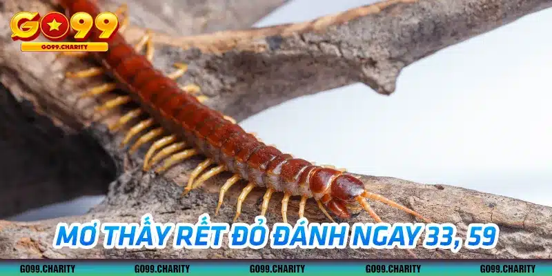 Giải mã giấc mộng thấy con rết đỏ