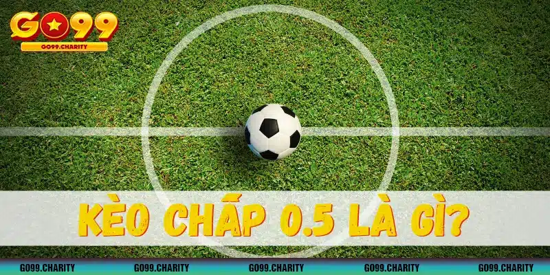 Kèo chấp 0.5 là gì? Cách chinh phục tỷ lệ handicap 0.5