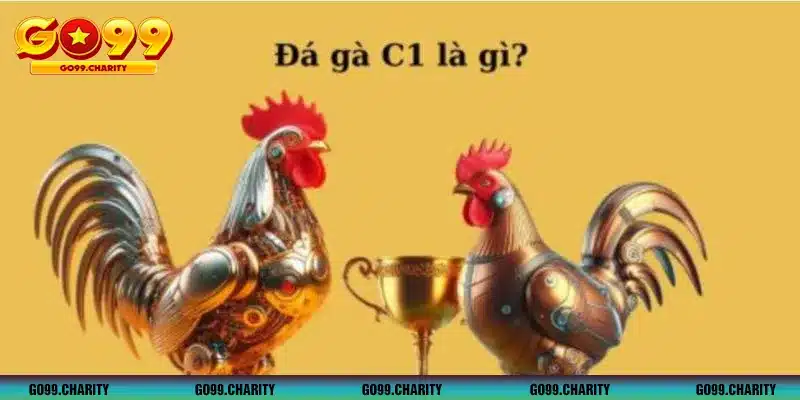 Tìm hiểu về giải đấu gà chọi cúp C1