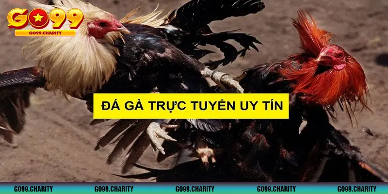 Theo dõi trực tiếp đá gà Campuchia 4